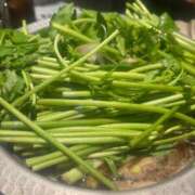 ヒメ日記 2025/11/25 13:44 投稿 花咲 姫（はなさき ひめ） NOA（ノア）