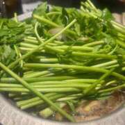 花咲 姫(はなさき ひめ) 6日出勤です NOA(ノア)