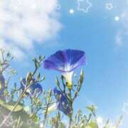 ヒメ日記 2025/07/28 17:16 投稿 来栖えみか 松戸人妻花壇