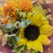 ヒメ日記 2025/08/08 11:15 投稿 来栖えみか 松戸人妻花壇