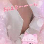 ヒメ日記 2025/08/21 09:00 投稿 みさき奥様 川崎人妻ソープ Mint(ミント)