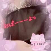 ヒメ日記 2025/08/31 08:30 投稿 みさき奥様 川崎人妻ソープ Mint(ミント)