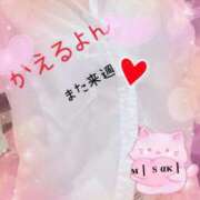 ヒメ日記 2025/10/03 16:15 投稿 みさき奥様 川崎人妻ソープ Mint(ミント)