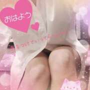 ヒメ日記 2025/10/15 06:15 投稿 みさき奥様 川崎人妻ソープ Mint(ミント)