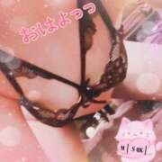 ヒメ日記 2025/10/26 08:15 投稿 みさき奥様 川崎人妻ソープ Mint(ミント)