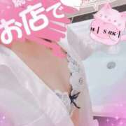 ヒメ日記 2025/11/07 09:15 投稿 みさき奥様 川崎人妻ソープ Mint(ミント)