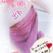 ヒメ日記 2025/11/12 07:45 投稿 みさき奥様 川崎人妻ソープ Mint(ミント)