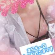 ヒメ日記 2025/11/17 16:03 投稿 みさき奥様 川崎人妻ソープ Mint(ミント)