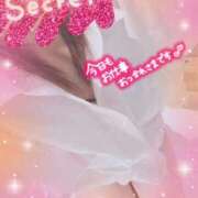 ヒメ日記 2025/11/26 16:45 投稿 みさき奥様 川崎人妻ソープ Mint(ミント)