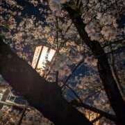 ヒメ日記 2026/04/07 15:02 投稿 わさび 石川小松ちゃんこ