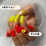 わさび 出勤しました(*^^*) 石川小松ちゃんこ