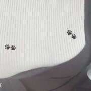 なみ 収まらないっっ 栃木宇都宮ちゃんこ