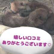 ヒメ日記 2025/08/16 12:34 投稿 西谷優希 五十路マダム愛されたい熟女たち岡山店（カサブランカグループ）