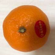 ヒメ日記 2026/01/03 09:37 投稿 いずみ エンジェルシリカ