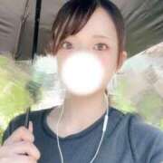 ヒメ日記 2025/08/01 12:23 投稿 ひびき【現役看護師の美女】 STELLA TOKYO－ステラトウキョウ－