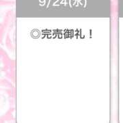 ヒメ日記 2025/09/27 12:18 投稿 ひびき【現役看護師の美女】 STELLA TOKYO－ステラトウキョウ－