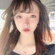 ヒメ日記 2025/09/29 03:01 投稿 ひびき【現役看護師の美女】 STELLA TOKYO－ステラトウキョウ－