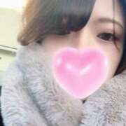 ヒメ日記 2025/11/29 09:07 投稿 ひびき【現役看護師の美女】 STELLA TOKYO－ステラトウキョウ－