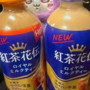 ヒメ日記 2026/02/01 18:19 投稿 ひびき【現役看護師の美女】 STELLA TOKYO－ステラトウキョウ－