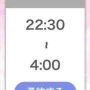 ヒメ日記 2026/02/05 12:09 投稿 ひびき【現役看護師の美女】 STELLA TOKYO－ステラトウキョウ－