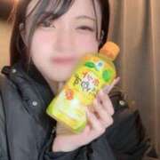 ヒメ日記 2026/02/10 01:09 投稿 ひびき【現役看護師の美女】 STELLA TOKYO－ステラトウキョウ－