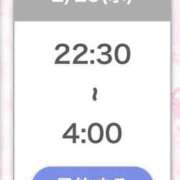 ヒメ日記 2026/02/25 12:13 投稿 ひびき【現役看護師の美女】 STELLA TOKYO－ステラトウキョウ－