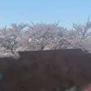 ヒメ日記 2026/04/10 02:08 投稿 ひびき【現役看護師の美女】 STELLA TOKYO－ステラトウキョウ－