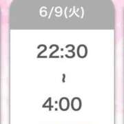 ヒメ日記 2026/06/09 12:11 投稿 ひびき【現役看護師の美女】 STELLA TOKYO－ステラトウキョウ－