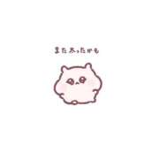 ヒメ日記 2025/10/11 16:03 投稿 星 BBW五反田店