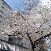 ヒメ日記 2026/03/30 10:23 投稿 あやの 五反田・品川おかあさん