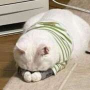 ヒメ日記 2025/07/21 16:40 投稿 里沙-りさ【FG系列】 ほんつま 沼津店 (FG系列)