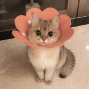 ヒメ日記 2025/08/28 10:03 投稿 里沙-りさ【FG系列】 ほんつま 沼津店 (FG系列)