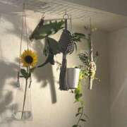 ヒメ日記 2025/07/31 13:20 投稿 なこ 五反田みるみる(ユメオト)