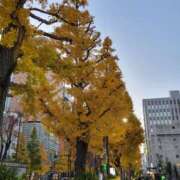 ヒメ日記 2025/11/29 11:55 投稿 みどり奥様 川崎人妻ソープ Mint(ミント)