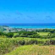 ヒメ日記 2025/12/30 22:49 投稿 みどり奥様 川崎人妻ソープ Mint(ミント)