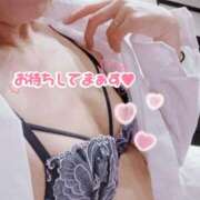 ヒメ日記 2026/08/31 06:45 投稿 みどり奥様 川崎人妻ソープ Mint(ミント)