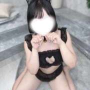 つむぎ 飼ってほしいなにゃん🐱 学園collection