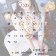 ヒメ日記 2026/06/10 08:00 投稿 ふみ セグレターリオ