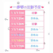 ヒメ日記 2025/11/11 11:25 投稿 のあ ハピネス＆ドリーム 松山道後温泉