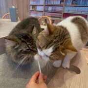 ヒメ日記 2025/07/19 11:49 投稿 なつ Tバックエステ 池袋店