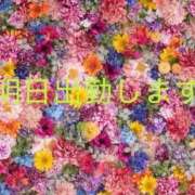 ヒメ日記 2025/09/08 12:44 投稿 まゆ 人妻美人館