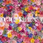 ヒメ日記 2025/10/02 12:43 投稿 まゆ 人妻美人館
