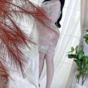 ヒメ日記 2025/07/24 12:34 投稿 ライチ 桃李（とうり）