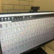 ふたば 撮影ᕱ⑅︎ᕱ📷💖 しろうと娘　本店