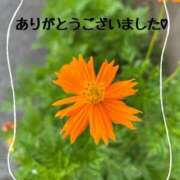 ヒメ日記 2025/08/07 19:47 投稿 宮本　さやか 東京ローズマリー