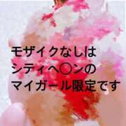 ヒメ日記 2025/11/17 20:17 投稿 宮本　さやか 東京ローズマリー