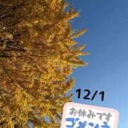 宮本　さやか お知らせです。 東京ローズマリー