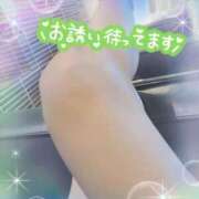 ヒメ日記 2026/01/06 13:27 投稿 宮本　さやか 東京ローズマリー