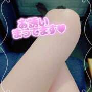 ヒメ日記 2026/01/15 13:07 投稿 宮本　さやか 東京ローズマリー