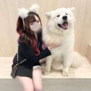 ヒメ日記 2025/07/19 19:11 投稿 ろあ プロフィール 岡山店